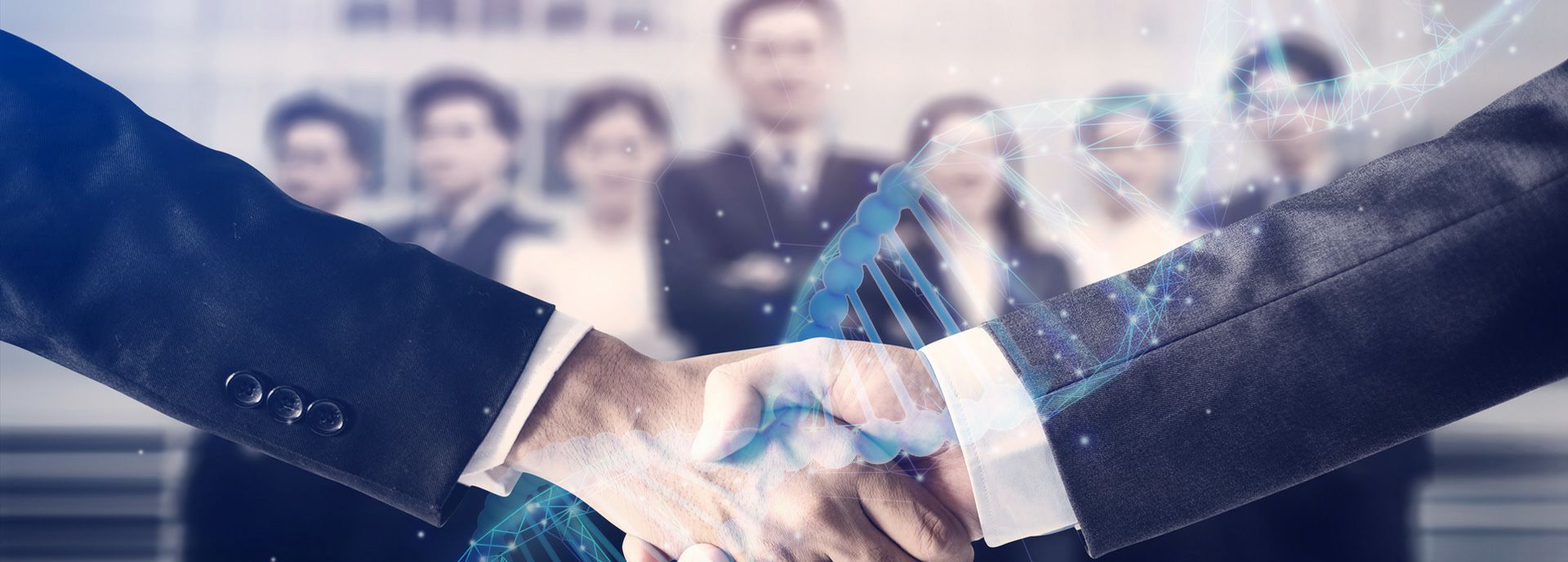 开云app官方在线登录入口-开云(中国)